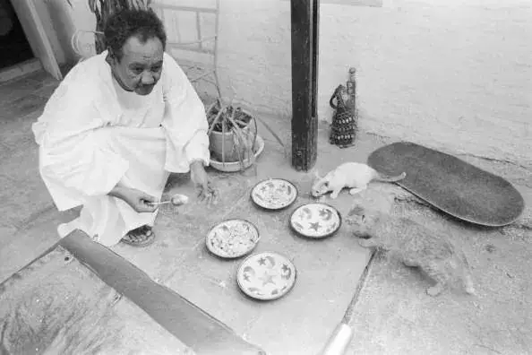 الرئيس جعفر نميري وحبه للقطط